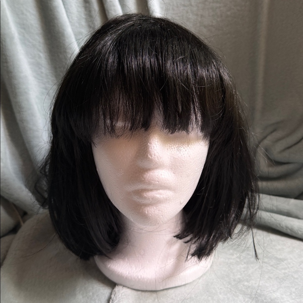 Beautiful Sleek Black Women's Wig